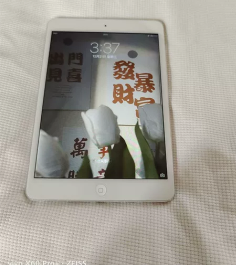 ipad mini 内存64g 外观成色还...
