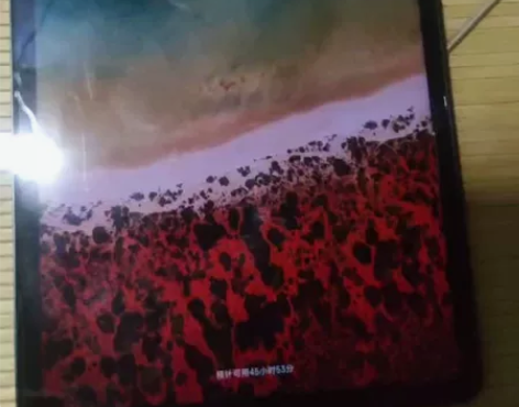 自己用的小米平板5买了不到两个月, 发票还...