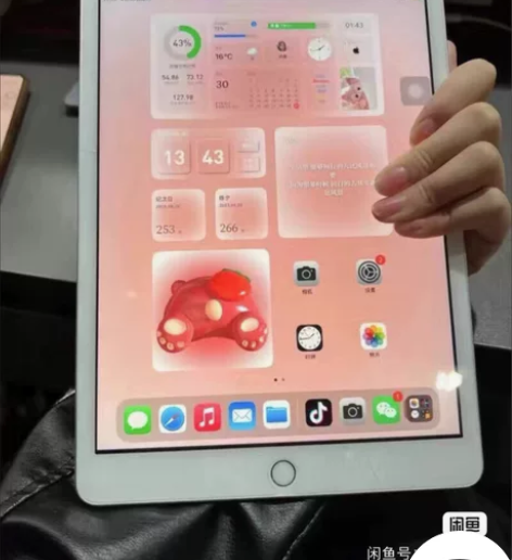 iPad 2019款 128gwifi  ...