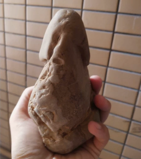形象石摆件，龟头石，个性石头，石头摆件 规...