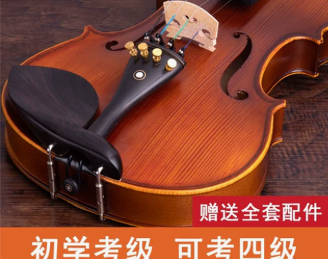 青歌QV103儿童初学者入门小提琴演奏学生...