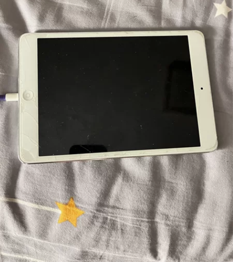 ipabmini2  上网课，追剧。个人一...