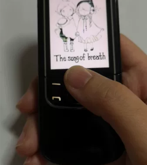 诺基亚8600Luna 原装机自用，原装充...