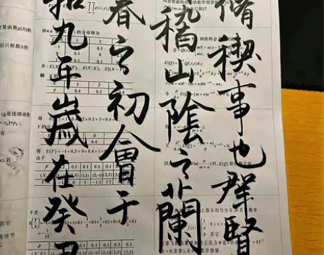 24年考研北京师范大学学科语文808中国语...