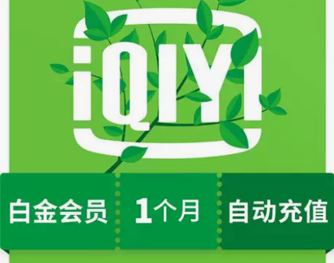 爱奇艺白金会员月卡1个月爱奇艺银河奇异果会...