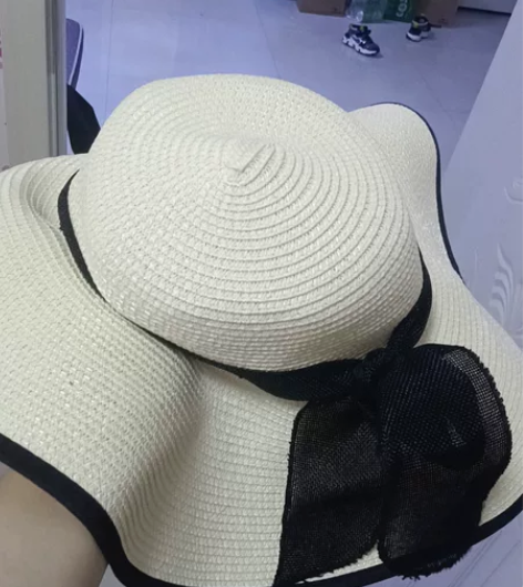 海滩大号遮阳帽  洋气款  全新的  10...