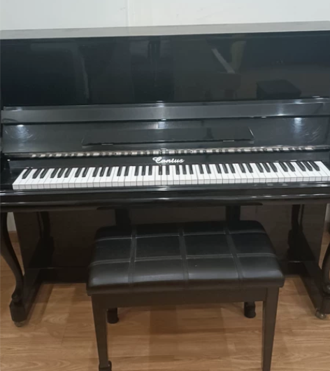 本人是钢琴老师，因为疫情，现在停止教学，打...