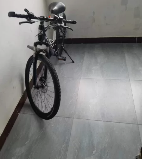 山地车自行车越野男女成人轻便双碟刹变速学生...