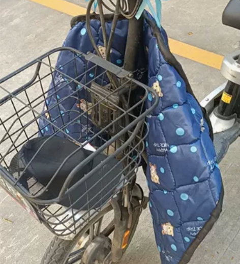 回家转卖台铃电动车 手续齐全。送雨衣头盔+...