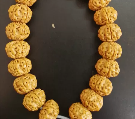 精品航母单圈，矮庄南瓜，尺寸15，稍稍一刷...