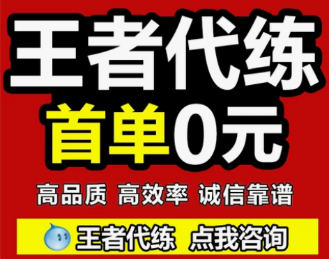 王者荣耀代打英雄战力巅峰赛代练排位lol大...