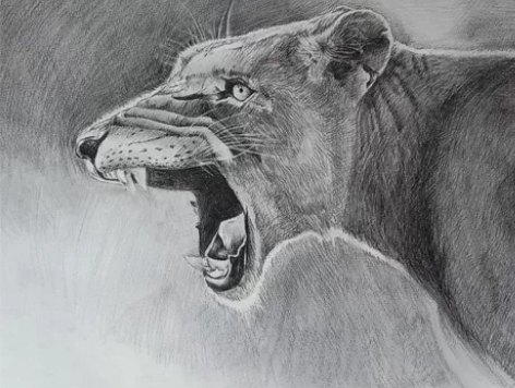 原创素描作品 感兴趣的话点“我想要”和我私...