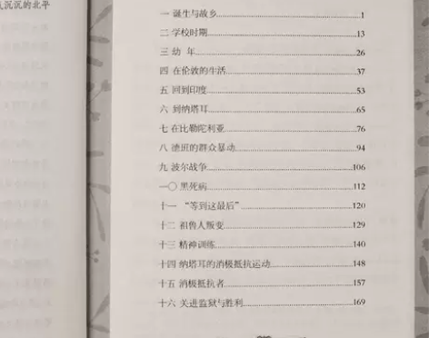 甘地自传 给孩子的传记经典 青少年励志成长...