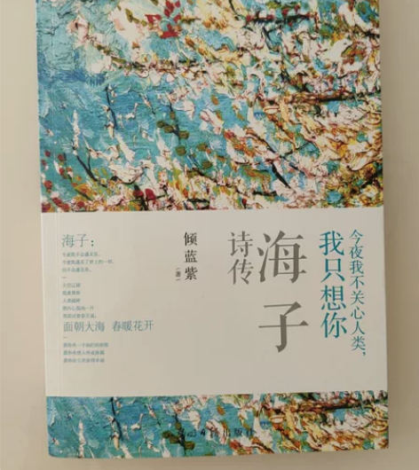 海子诗传   京东购入正版图书，只看过一次...