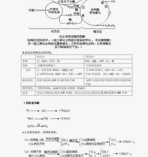 高中生物,尤其是重难点知识和语言表述,方法...
