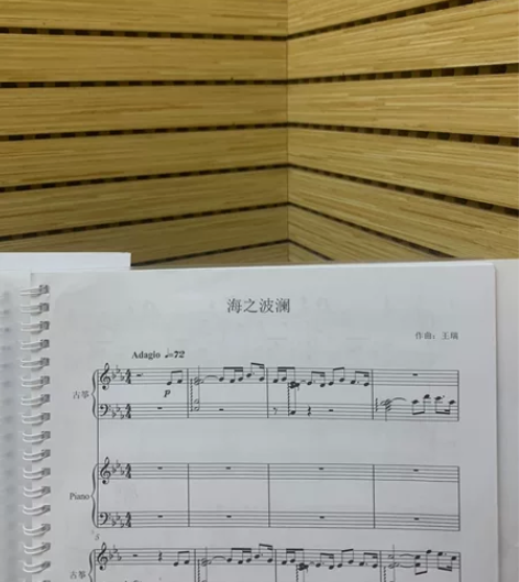 古筝海之波澜简/线谱总谱合集~需要的私聊我...
