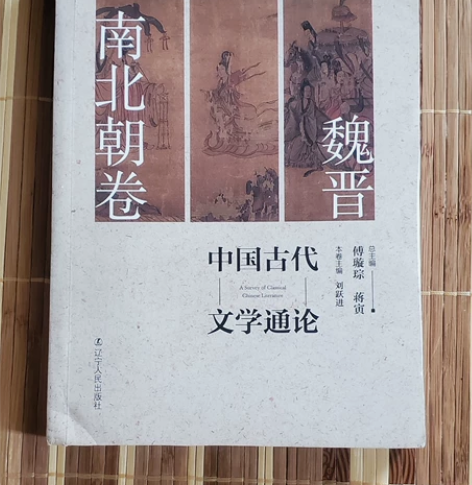 中国古代文学通论 魏晋南北朝卷 傅璇宗 近...