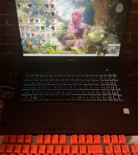 炫龙 游戏本 炫龙dd3plus cpu ...