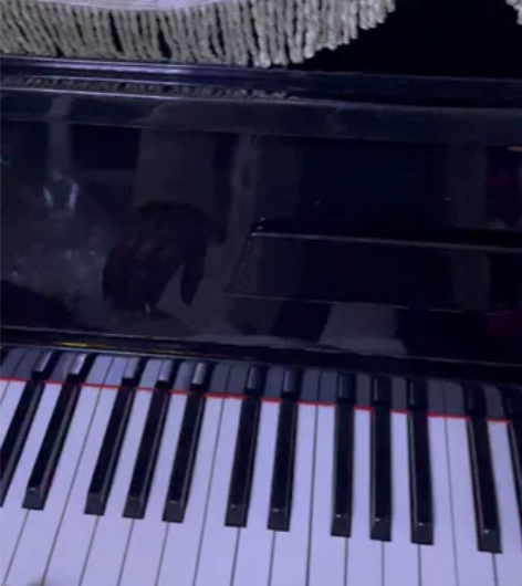 国产珠江钢琴转让，闲置在家，要搬家故转让 ...