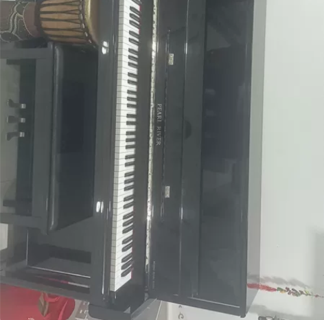 PEARL RLIVER钢琴出售， 感兴趣...