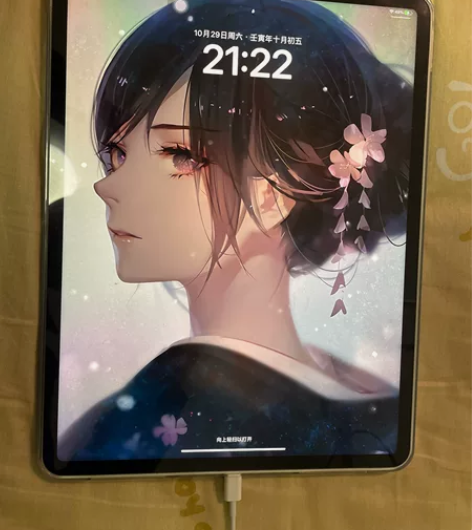 ipadpro2021款12寸 21款iP...