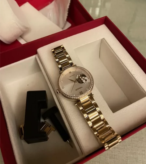 前几天刚买的ROSDN阿玛妮手表全新出没带...