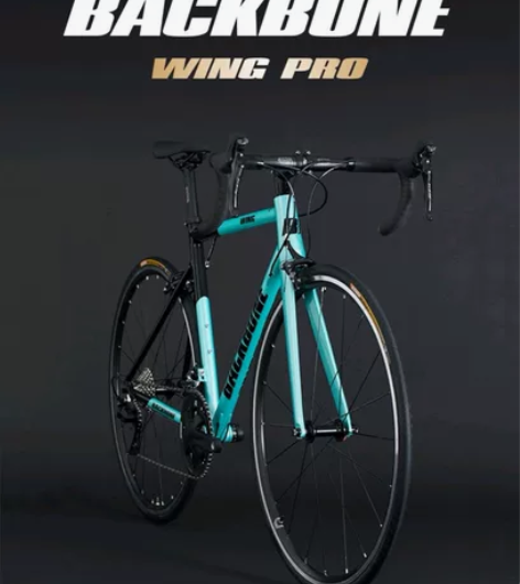 黑鸟公路自行车 700C铝合金车架  东丽...