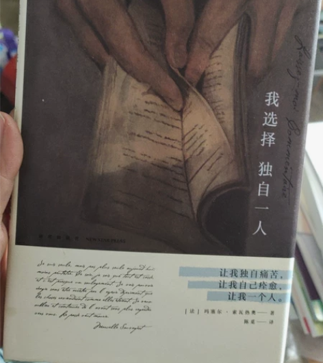 外国文学书！价低！非常好看，前三个月买的，...