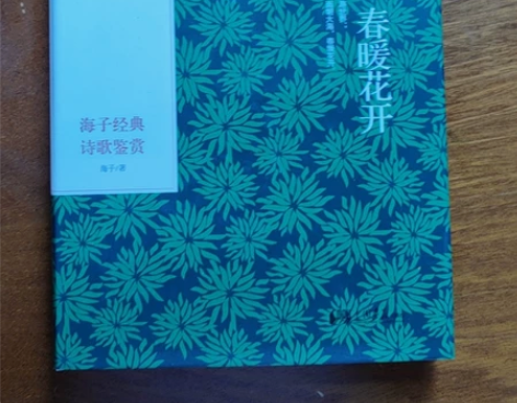 商城正版面朝大海春暖花开海子经典诗歌鉴赏精...