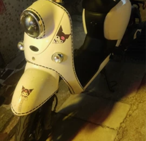 出自用电动车，大半年左右，无证无票，介意勿...