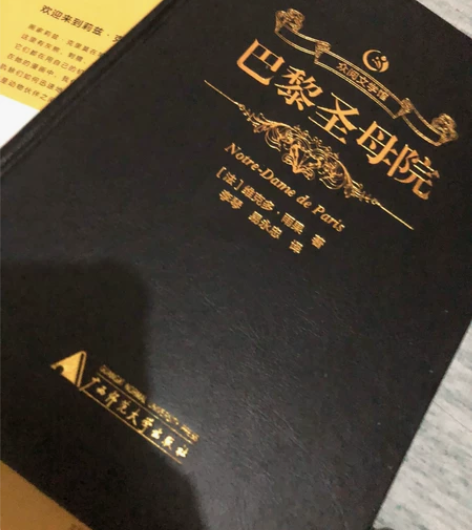 巴黎圣母院  全新书店买来没看过 感兴趣的...