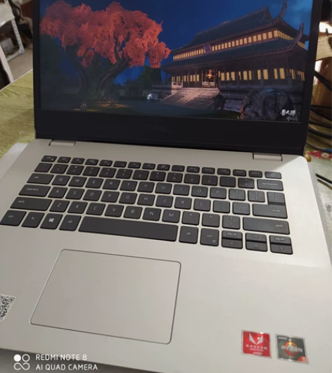 戴尔本,Ryzen 5 3500U,8G内...