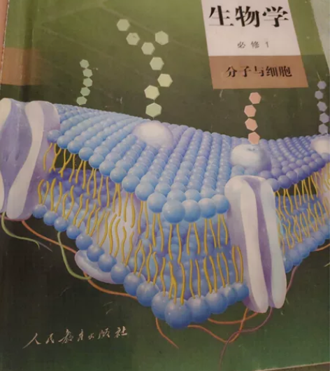 高中生物 初中生物 一对一老师线上讲解经验...
