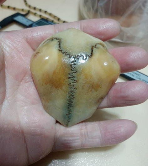 小包子三界牌子一块。密度很好很润。纹理也很...