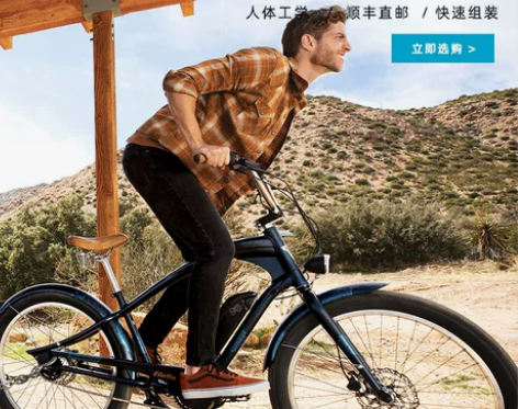 Electra  Navigator 欧装...