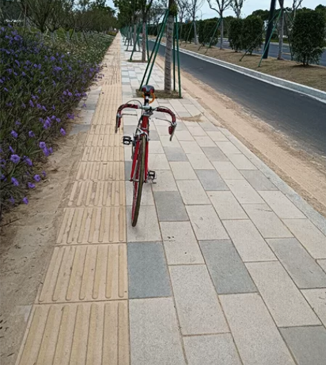 捷安特经典公路赛车，买来刚开始新鲜骑了一段...