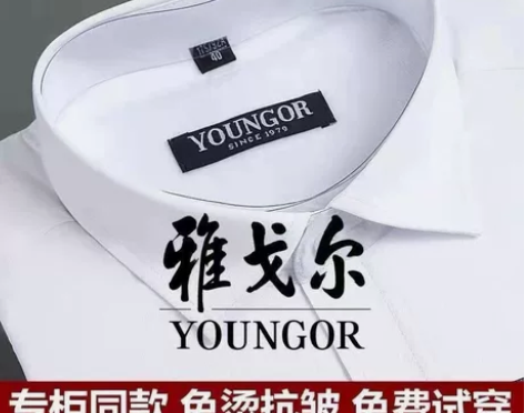 雅戈尔衬衫男长袖商务正装休闲宽松男装上班工...