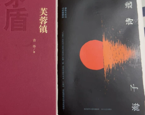 出两本书 海子的诗有轻微勾画痕迹 感兴趣的...