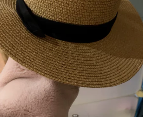 草帽海边度假 带过一次 感兴趣的话点“我想...