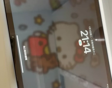 ipad air4 蓝色64g 国行 过保...