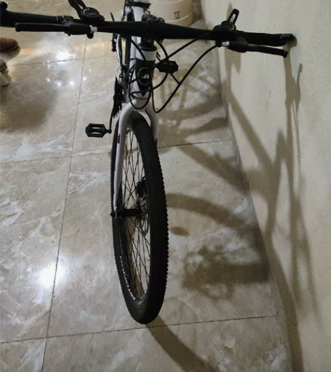 上班没时间骑，一直放在家里，变速不流畅，刹...