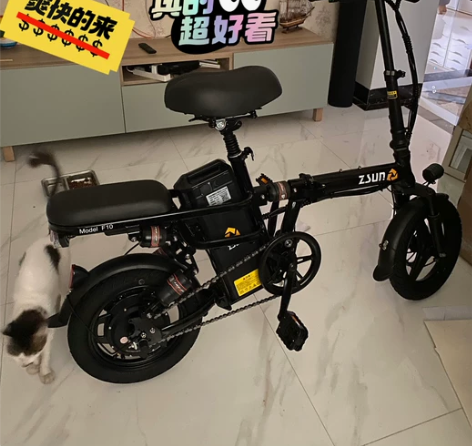 上个月买的德国尊尚电动车，可折叠，可放后备...