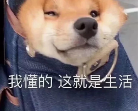 DIY (月底缺钱了)帮忙做选择，做决定，...
