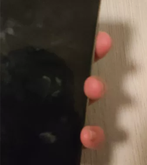 iPhonex 64G换了后壳12pro ...