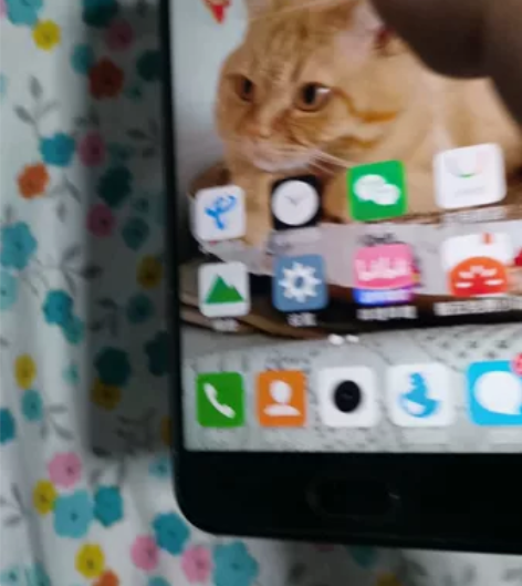 vivo Y67L，4+32，2016年线...