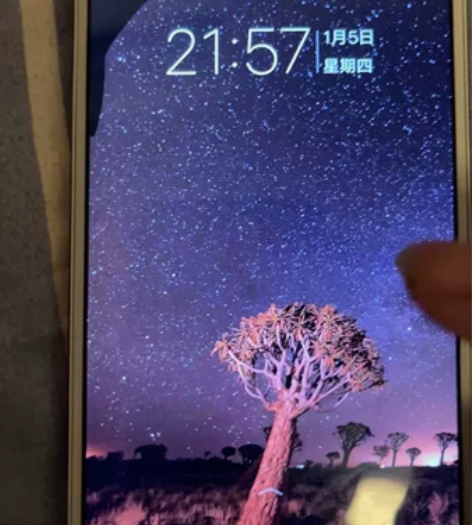 vivoy66l除了左上漏夜其他全部完好便...