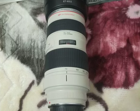 自用佳能70-200 2.8L一代长焦小白...