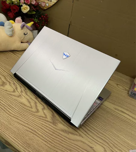 机械师F117/1050ti/8750/机...