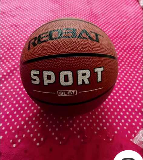 标准七号成人篮球 在京东上面132入手的 ...