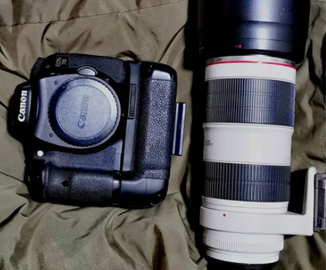 自用拍鸟神器,快片王单反佳能7D。 该机无...